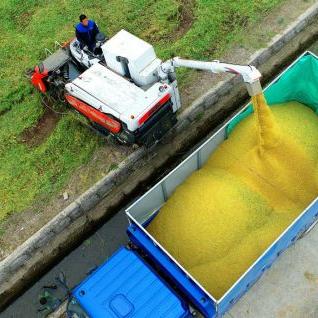 合肥到白湖的汽车时间相关长尾关键词有哪些