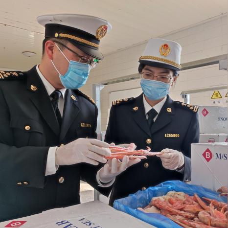 济南市各县区的生产总值是多少
