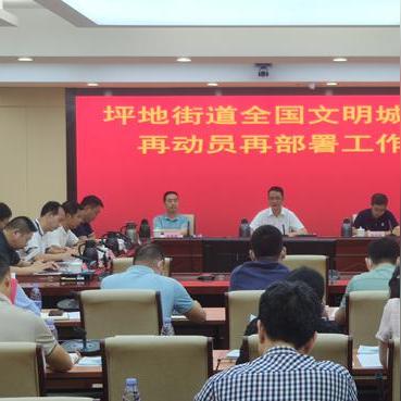 深圳市坪地街道在哪个区