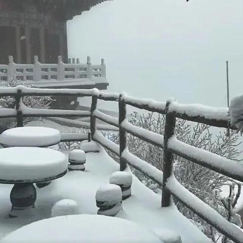 今天河南哪个地区下雪呀
