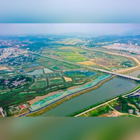 长沙市望城东方明珠属于哪个社区