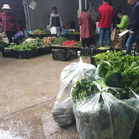 昆明市青瓜多少钱一斤