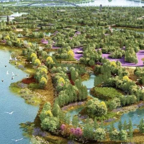 福州市和杭州市哪个更大