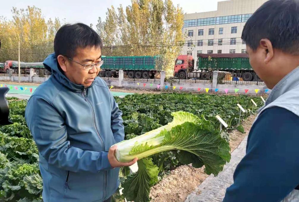 美国德州大学排行:领航学术前程的明智选择