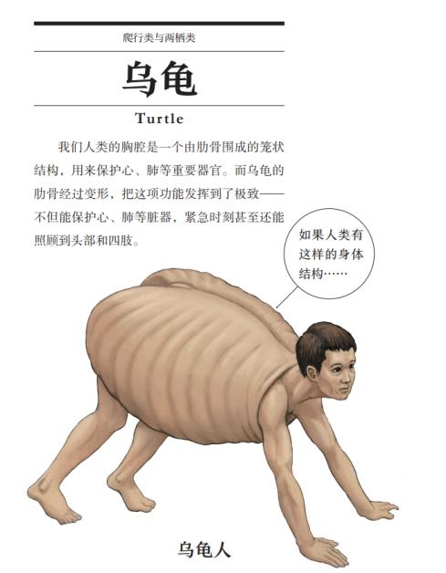你们插画师画画可以冷门，但不能邪门！当人类与动物交换身体，会是啥样？
