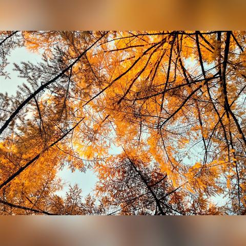 哈尔滨春节天气预报相关长尾关键词有哪些