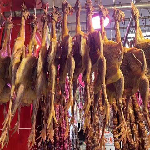 成都市过年哪里最好玩