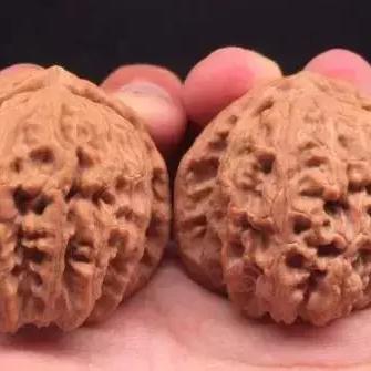 保定市特色文玩店在哪里