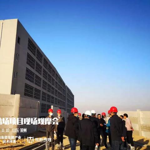 济南养猪大棚相关长尾关键词有哪些