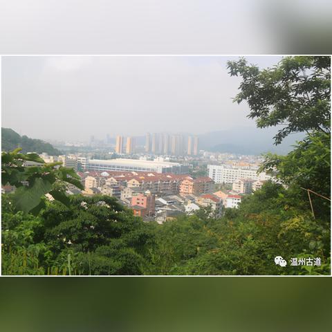 温州市最高山顶在哪里