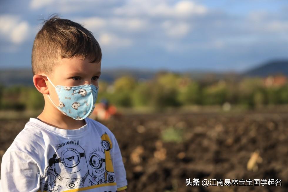 鼠年怎么给宝宝起名字(公元772年是代宗哪一年)