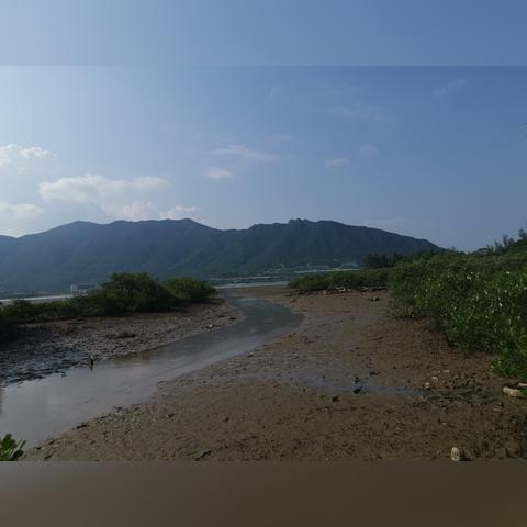 2025.12.14东莞今日汽车尾号限行是几