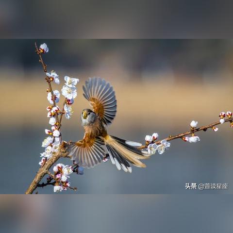 阳历2月2号什么星座(阳历10月2号是什么星座)