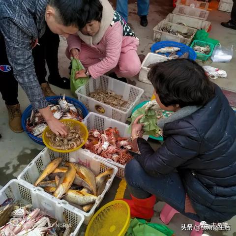 浙江省温州市金乡海口的长尾关键词有什么