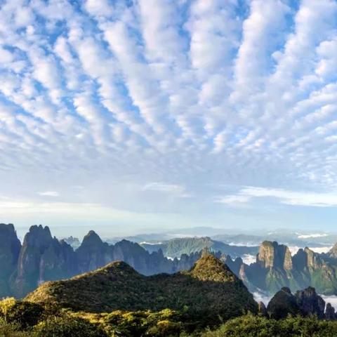 桂林瑶山杜鹃花开了吗相关长尾关键词有哪些