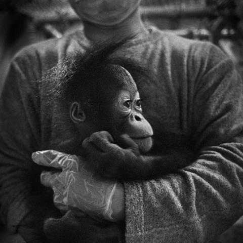 桂林市宠物零食店有哪些