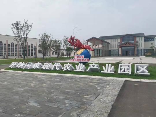 品牌引领，小龙虾撑起富民创业路