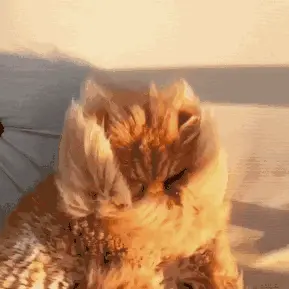 微信公众号认证有什么好处 怎么认证微信公众号