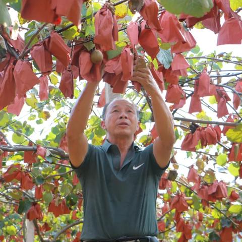 桂林网架生产基地相关长尾关键词有哪些