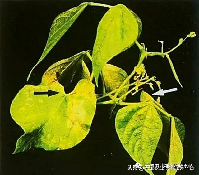 这几类宝宝最容易缺钙