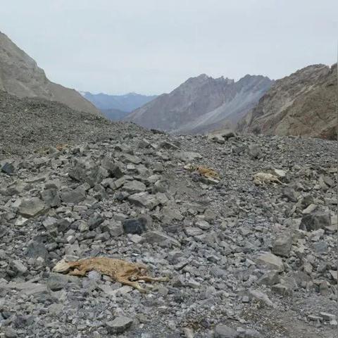 丛纪念在苏州市干什么