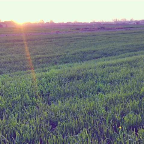 成都市腾飞学校地铁口的长尾关键词有哪些