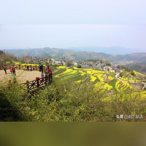 宁波市哪个村比较有特色