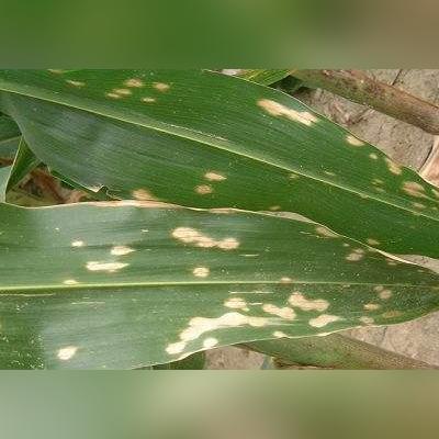 五常离哈尔滨多少公里相关长尾关键词有哪些