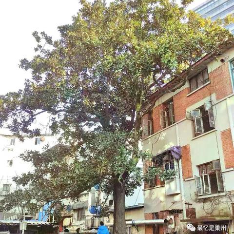 合肥市府广场附近饭店相关长尾关键词有哪些