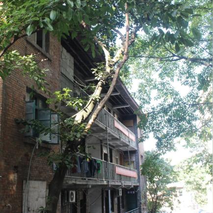 重庆鸽牌电线怎么样