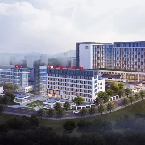 杭州市七院什么区