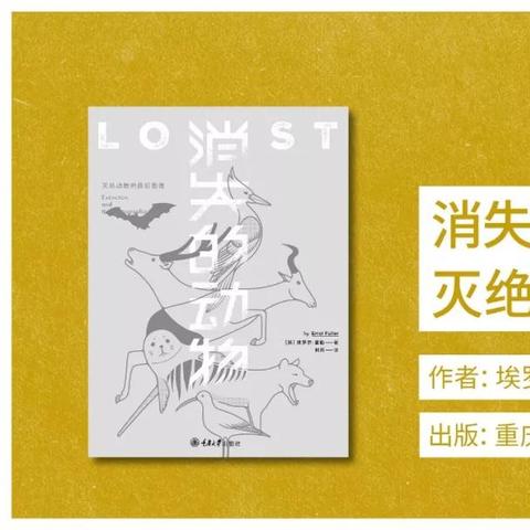 福泰制药涨0.90% 股价突破400美元大关