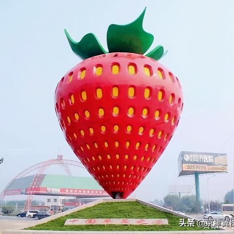 保定市林业公司的长尾关键词有哪些