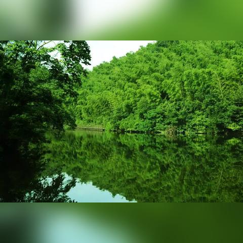 桂林全州石塘2015年相关长尾关键词有哪些