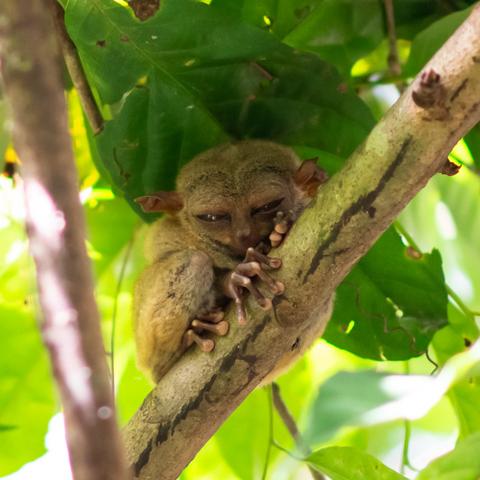 电影眼睛派长尾关键词集合