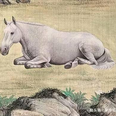 生肖鸡5月复合运势如何(属鸡五月份的运势如何2020年)