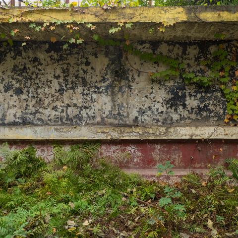 武汉市有什么产业