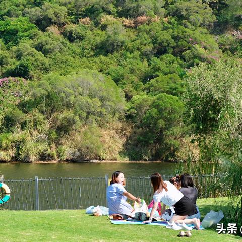 厦门市的市花是什么花的相关长尾关键词有哪些