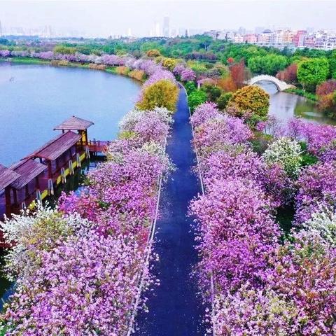 广州市海珠在什么地方