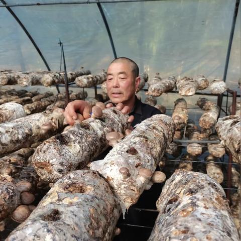保定市安国市贷款公司的长尾关键词有哪些