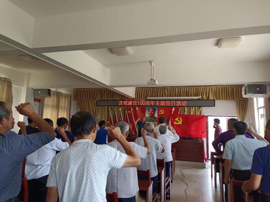 华容县鲇鱼须镇各村开展庆祝建党100周年主题系列活动（二）
