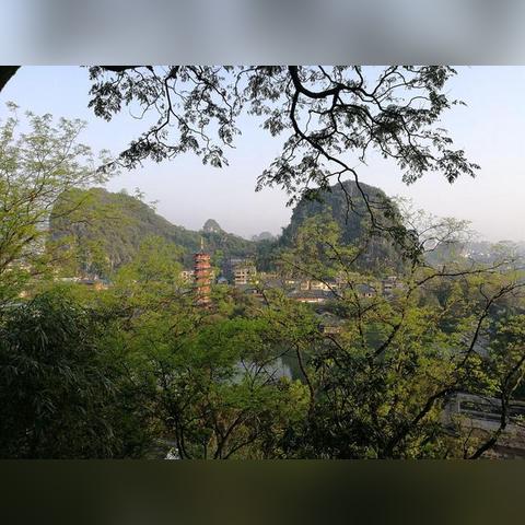 桂林市春季最适合种什么