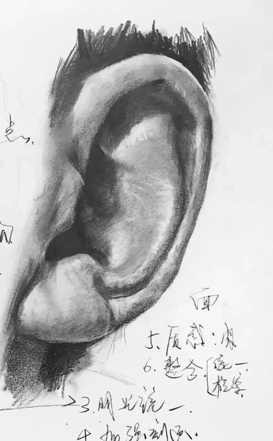素描功底不扎实，什么都画不好！超强干货素材，帮你解决烦恼