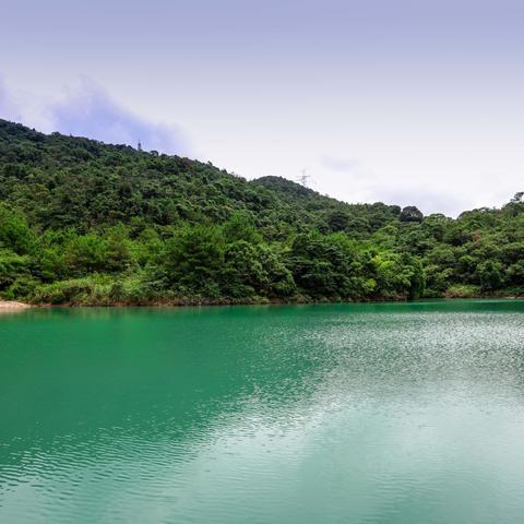 东莞市净化板厂家有哪些