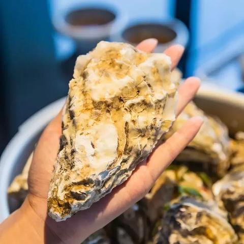 成都生蚝批发找货源网的长尾关键词有什么