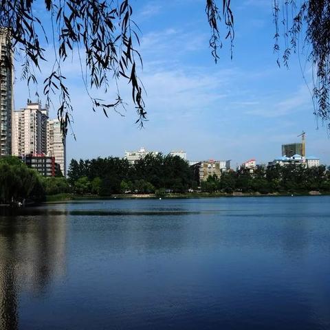 武汉市什么时候限制牌