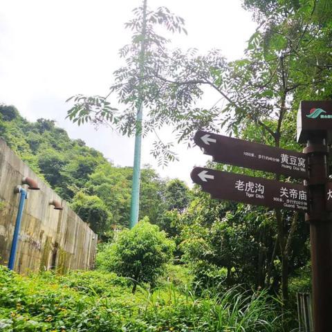 深圳市横岗镇近哪个镇