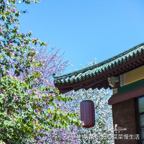 广州市疫情新毒株是多少