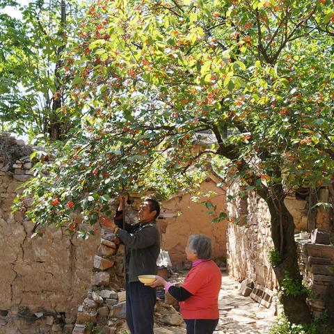 山西与河南交界的山的相关长尾关键词有哪些