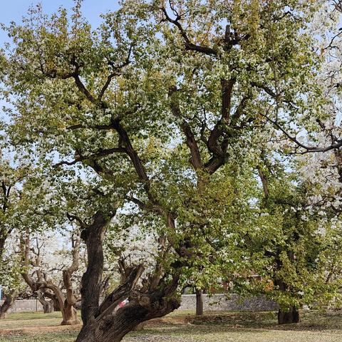 兰州市石川镇在哪里